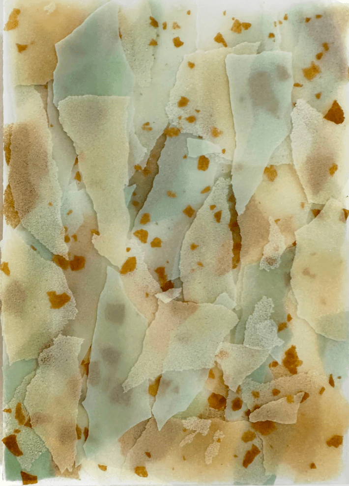 NEW WORK IN 2026 - Debbie Bean