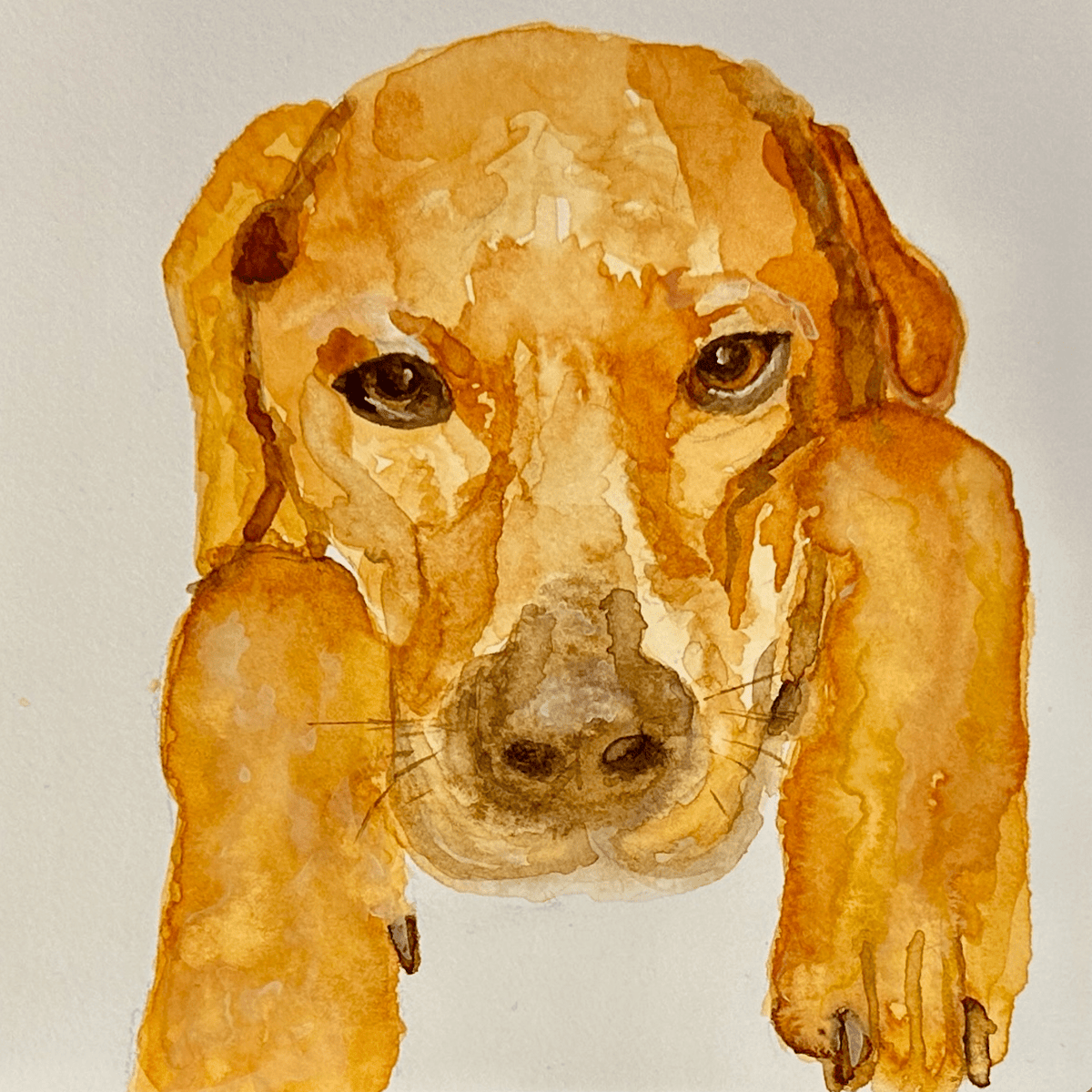WATERCOLOR PET PORTRAITS - Debbie Bean